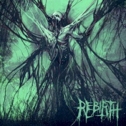 Re:Birth