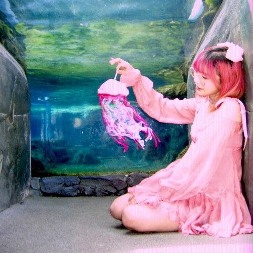 jellyfish