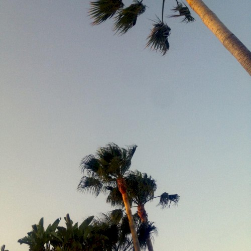 Dancer (Kygo remix)