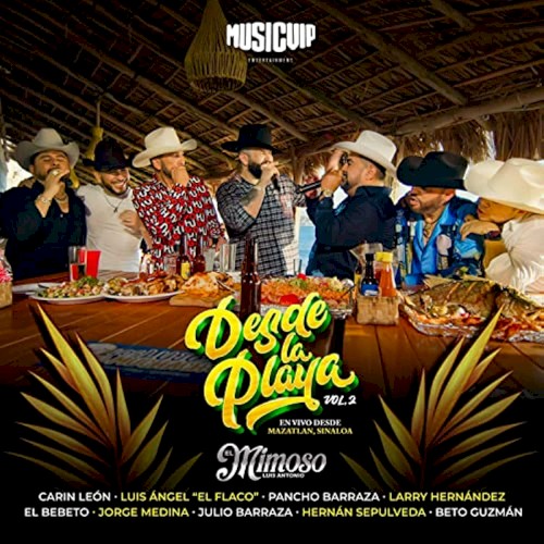 Desde la playa vol. 2 (en vivo)