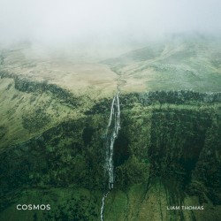 Cosmos