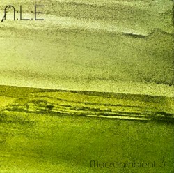 Macro Ambient 3