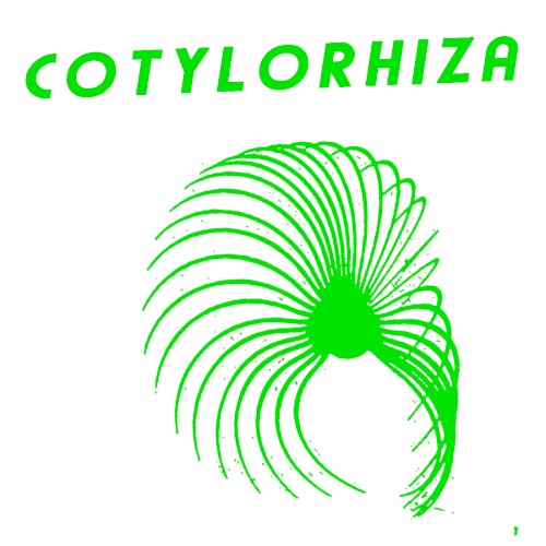 Cotylorhiza