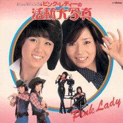 ピンク・レディーの活動大写真