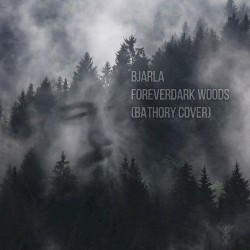 Foreverdark Woods