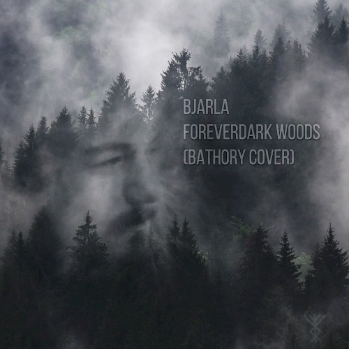 Foreverdark Woods