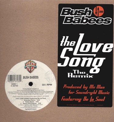 The Love Song (The remix)