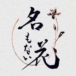 名もない花