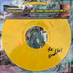 Das Heise Experiment - The Remixes