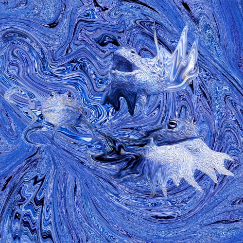 The Pyxicephalus Sessions