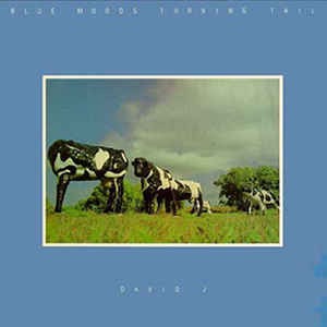 Blue Moods Turning Tail