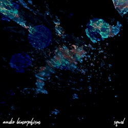 Audio Bimorphism