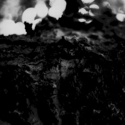 Still Fragments