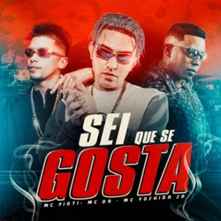 Sei Que Se Gosta
