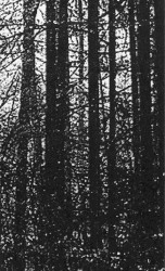 L'ombre du néant