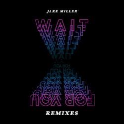 Wait For You (remixes)