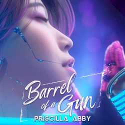 Barrel Of A Gun
