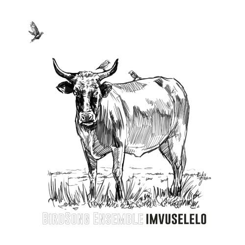 Imvuselelo