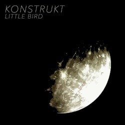 Little Bird