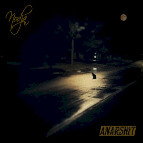Anarshit