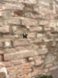 one