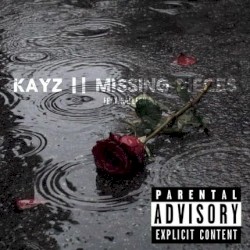 missing pieces