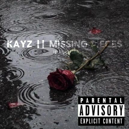 missing pieces
