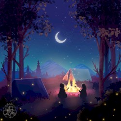Stars in the Night