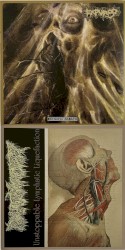 Entropic Breath / Unstoppable Lymphatic Liquefaction