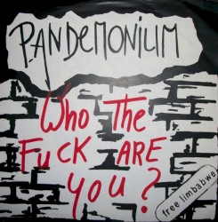 Who The Fuck Are You ?