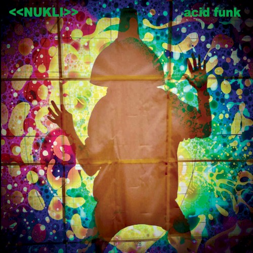 Acid Funk