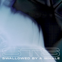 Swallowed By A Whale