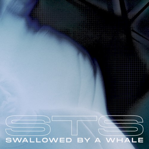 Swallowed By A Whale