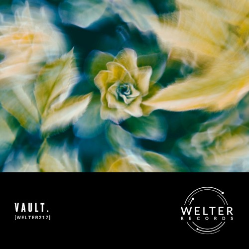 WELTER217