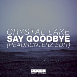 Say Goodbye (Headhunterz radio edit)