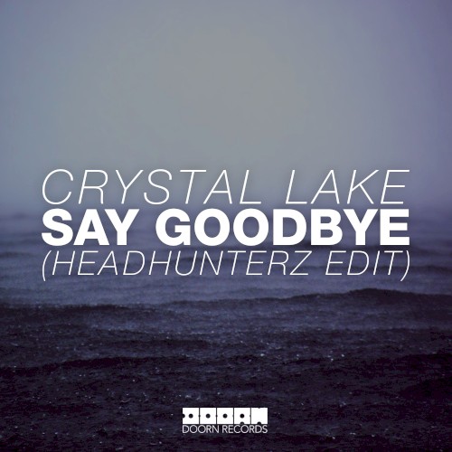 Say Goodbye (Headhunterz radio edit)