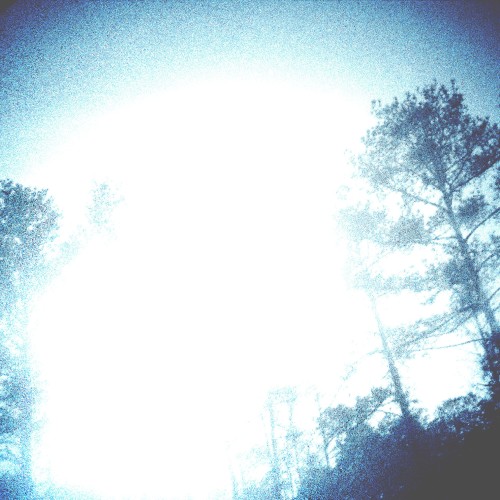Cold Winters and Warm Springs