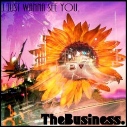I Just Wanna See You.