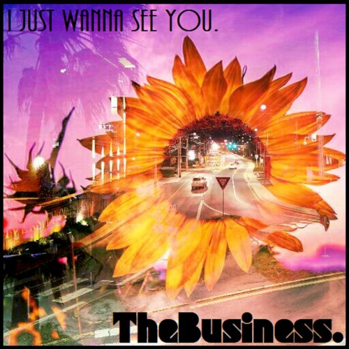 I Just Wanna See You.