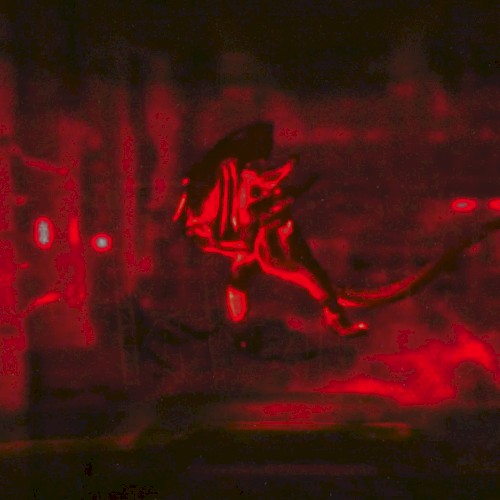 Acid Resurrection EP 2.0