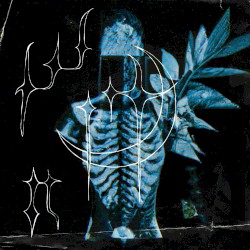 papercuts