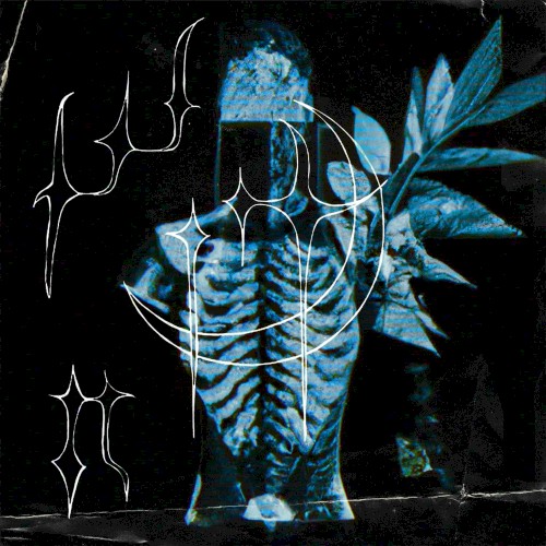 papercuts