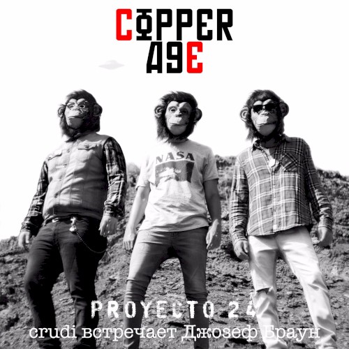 Proyecto 24