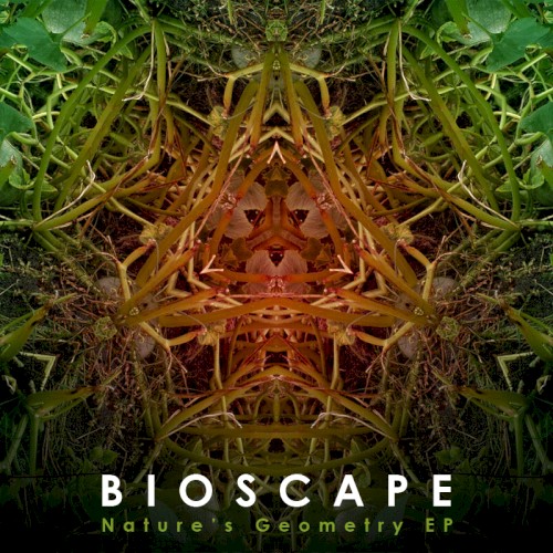 Nature’s Geometry EP