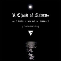 Another Kind of Midnight [The Remixes]