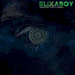 Auditory Input Codex