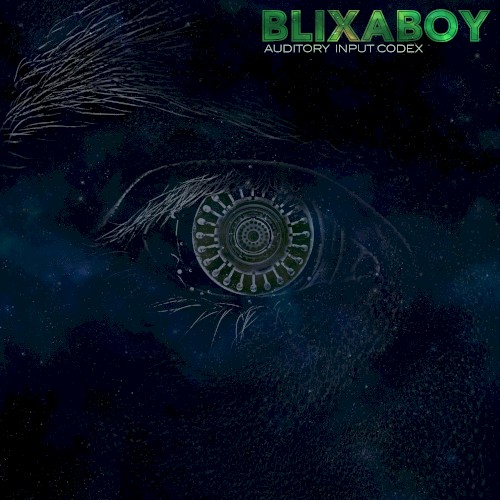 Auditory Input Codex