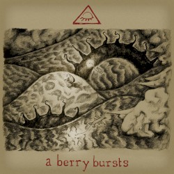 A Berry Bursts