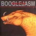 Booglejasm