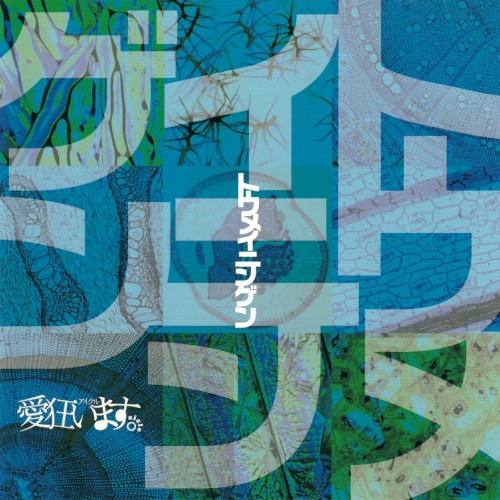 トウメイニンゲン